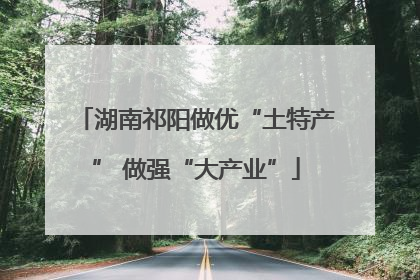 湖南祁阳做优“土特产” 做强“大产业”