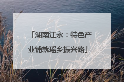 湖南江永：特色产业铺就瑶乡振兴路
