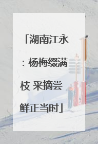 湖南江永：杨梅缀满枝 采摘尝鲜正当时