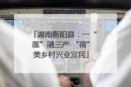 湖南衡阳县：一“莲”融三产 “荷”美乡村兴业富民