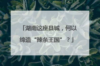 湖南这座县城，何以缔造“辣条王国”？
