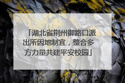 湖北省荆州御路口派出所因地制宜，整合多方力量共建平安校园