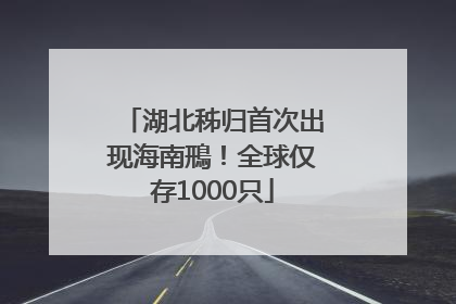 湖北秭归首次出现海南鳽！全球仅存1000只