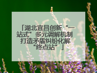 湖北宜昌创新“一站式”多元调解机制 打造矛盾纠纷化解“终点站”