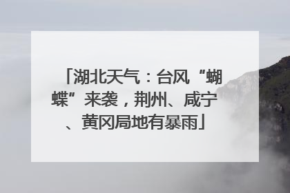 湖北天气：台风“蝴蝶”来袭，荆州、咸宁、黄冈局地有暴雨