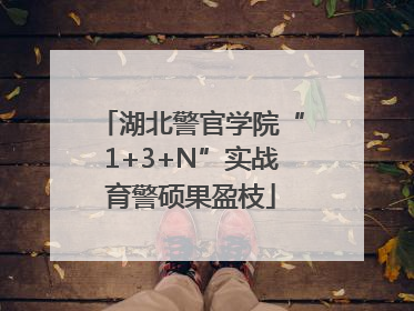 湖北警官学院“1+3+N”实战育警硕果盈枝