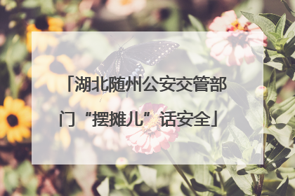 湖北随州公安交管部门“摆摊儿”话安全