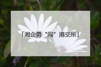 湘企勇“闯”港交所