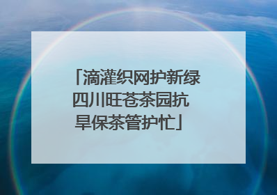 滴灌织网护新绿 四川旺苍茶园抗旱保茶管护忙
