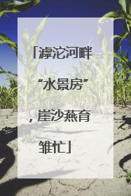 滹沱河畔“水景房”，崖沙燕育雏忙