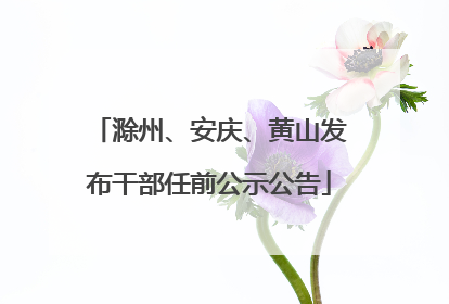 滁州、安庆、黄山发布干部任前公示公告