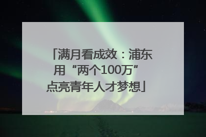 满月看成效：浦东用“两个100万”点亮青年人才梦想