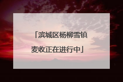 滨城区杨柳雪镇麦收正在进行中