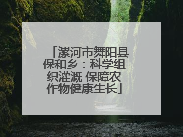 漯河市舞阳县保和乡：科学组织灌溉 保障农作物健康生长