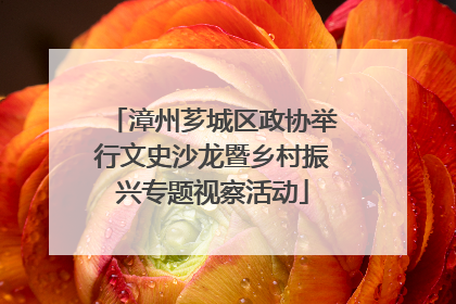 漳州芗城区政协举行文史沙龙暨乡村振兴专题视察活动