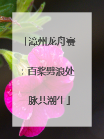 漳州龙舟赛：百桨劈浪处一脉共潮生