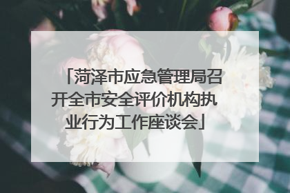 菏泽市应急管理局召开全市安全评价机构执业行为工作座谈会