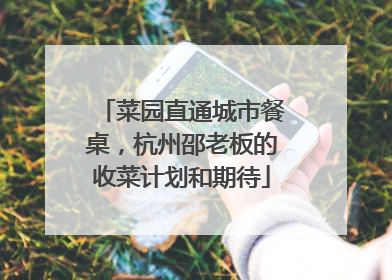 菜园直通城市餐桌，杭州邵老板的收菜计划和期待