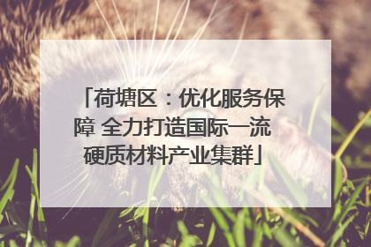 荷塘区：优化服务保障 全力打造国际一流硬质材料产业集群