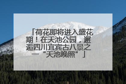 荷花即将进入盛花期！在天池公园，邂逅四川宜宾古八景之一“天池晚照”