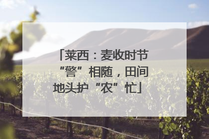 莱西：麦收时节“警”相随，田间地头护“农”忙