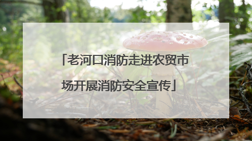 老河口消防走进农贸市场开展消防安全宣传