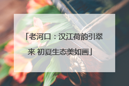 老河口：汉江荷韵引翠来 初夏生态美如画