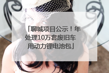 聊城项目公示！年处理10万套废旧车用动力锂电池包
