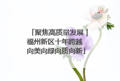 聚焦高质量发展｜福州新区十年跨越 向美向绿向质向新