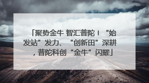 聚势金牛 智汇普陀〡“始发站”发力、“创新田”深耕，普陀科创“金牛”闪耀