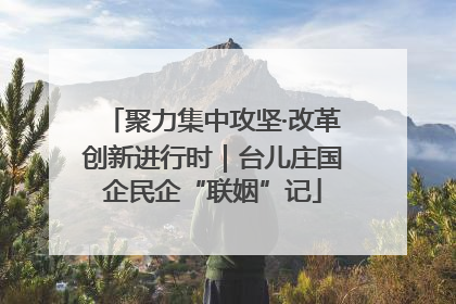 聚力集中攻坚·改革创新进行时｜台儿庄国企民企“联姻”记