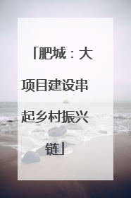 肥城：大项目建设串起乡村振兴链