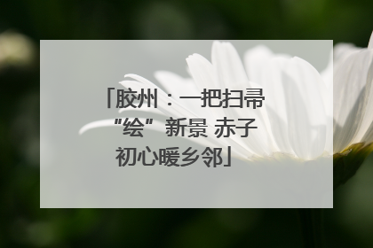 胶州：一把扫帚“绘”新景 赤子初心暖乡邻