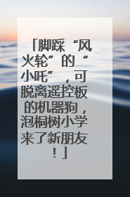 脚踩“风火轮”的“小吒”，可脱离遥控板的机器狗，泡桐树小学来了新朋友！