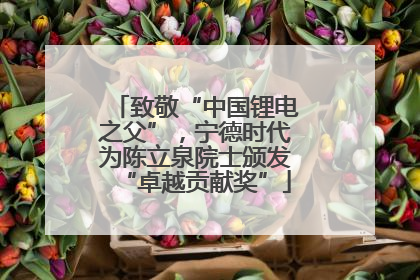 致敬“中国锂电之父”，宁德时代为陈立泉院士颁发“卓越贡献奖”