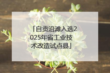 自贡沿滩入选2025年省工业技术改造试点县
