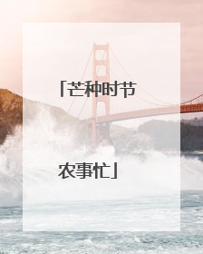 芒种时节农事忙