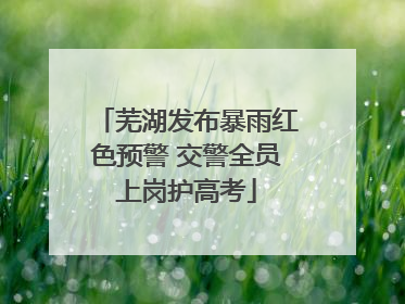 芜湖发布暴雨红色预警 交警全员上岗护高考
