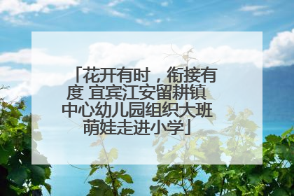 花开有时，衔接有度 宜宾江安留耕镇中心幼儿园组织大班萌娃走进小学