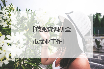 范兆森调研全市就业工作