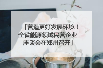 营造更好发展环境！全省能源领域民营企业座谈会在郑州召开