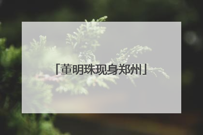 董明珠现身郑州