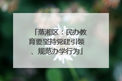 蒸湘区：民办教育要坚持党建引领、规范办学行为