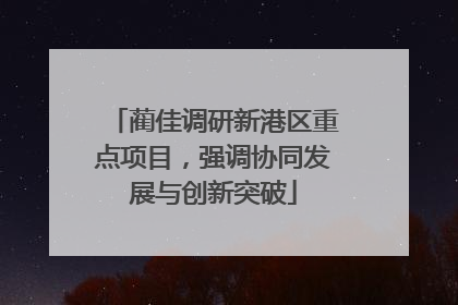 蔺佳调研新港区重点项目，强调协同发展与创新突破