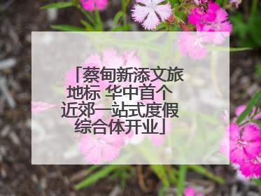蔡甸新添文旅地标 华中首个近郊一站式度假综合体开业