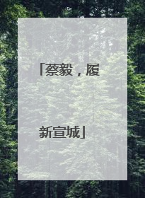 蔡毅，履新宣城