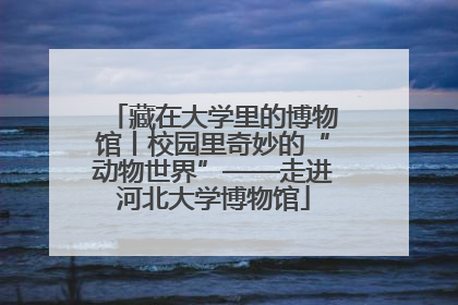 藏在大学里的博物馆丨校园里奇妙的“动物世界”——走进河北大学博物馆