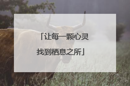 让每一颗心灵找到栖息之所