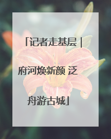 记者走基层｜府河焕新颜 泛舟游古城