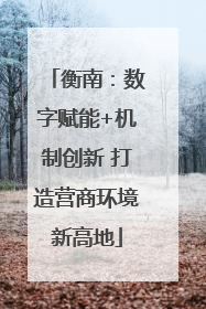 衡南：数字赋能+机制创新 打造营商环境新高地